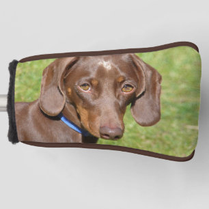 Couvre-club De Golf Dachshund