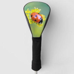 Couvre-club De Golf dame sur le dessus
