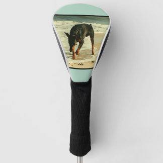 Couvre-club De Golf Dobermann à l'image de peinture de plage