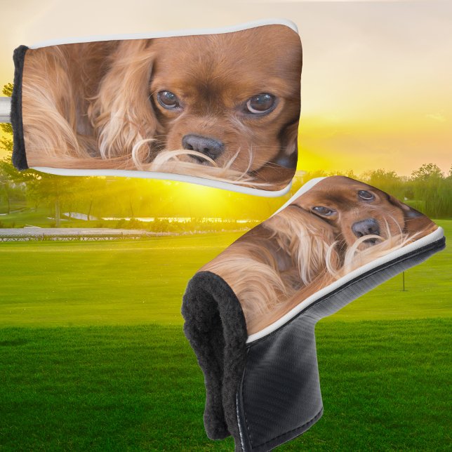Couvre-club De Golf Douce Ruby Cavalier King Charles Spaniel (Créateur téléchargé)