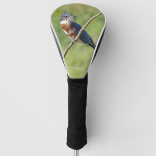 Couvre-club De Golf Femme Belted Kingfisher dehors sur un membre