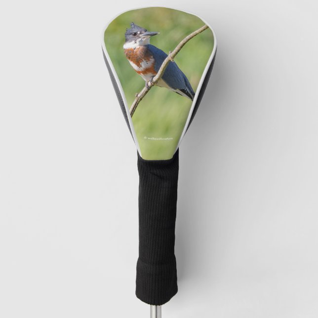 Couvre-club De Golf Femme Belted Kingfisher dehors sur un membre (Devant)