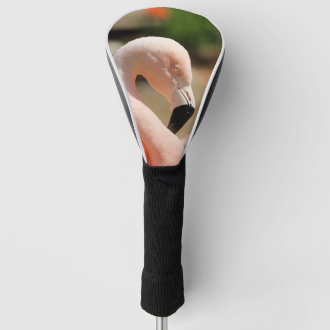 Couvre-club De Golf Flamant (Devant)