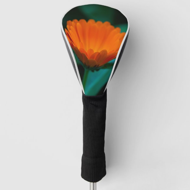 Couvre-club De Golf Fleur de marguerite orange (Devant)