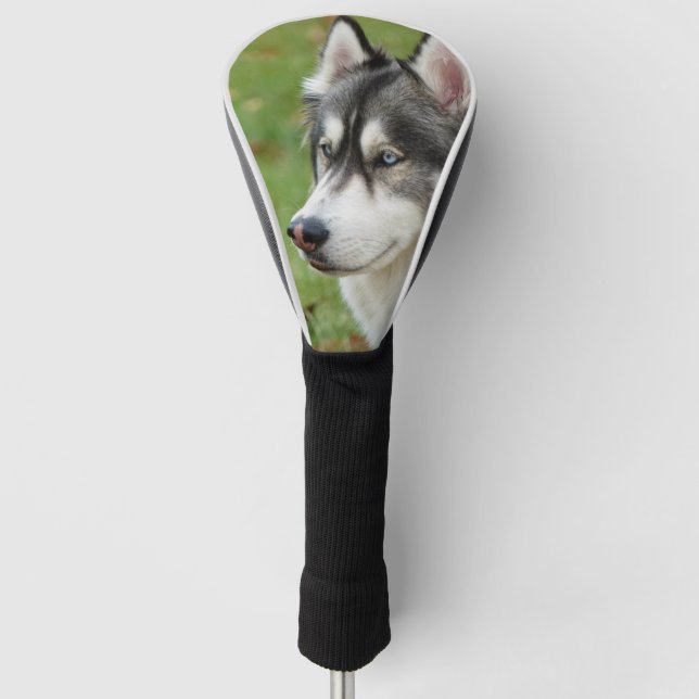 Couvre-club De Golf Husky (Devant)