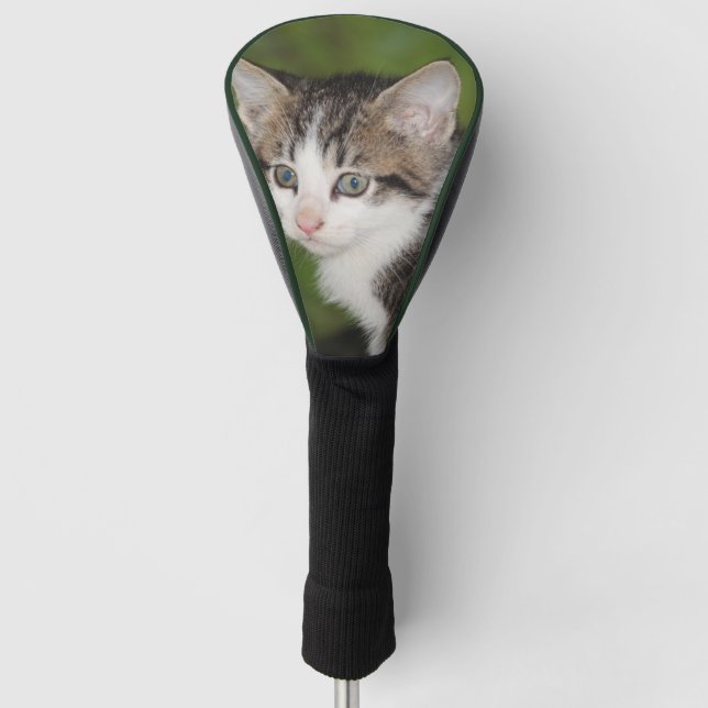 Couvre-club De Golf Kitten (Devant)