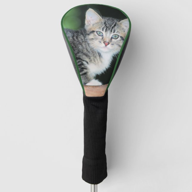 Couvre-club De Golf Kitten (Devant)