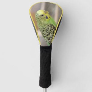 Couvre-club De Golf Kiwi