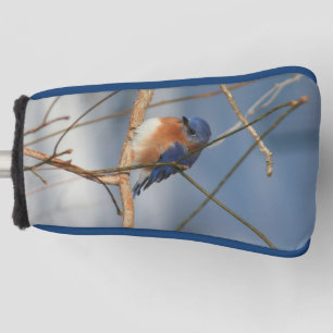 Couvre-club De Golf La nature des oiseaux bleus d'hiver
