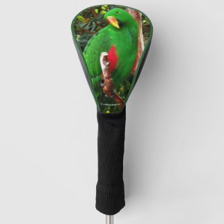 Couvre-club De Golf Le perroquet de l'écorce verte