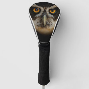 Couvre-club De Golf Les yeux dorés d'une chouette spectaculaire