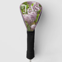 Lilac Bush Belles fleurs de printemps violettes