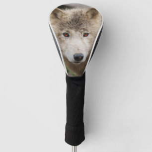 Couvre-club De Golf Loup blanc boueux