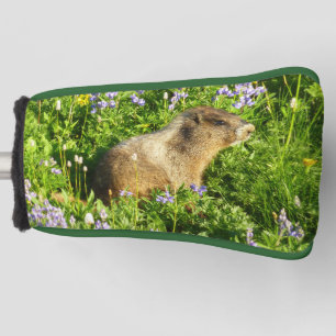 Couvre-club De Golf Marmot dans le Mont Rainier Fleurs sauvages