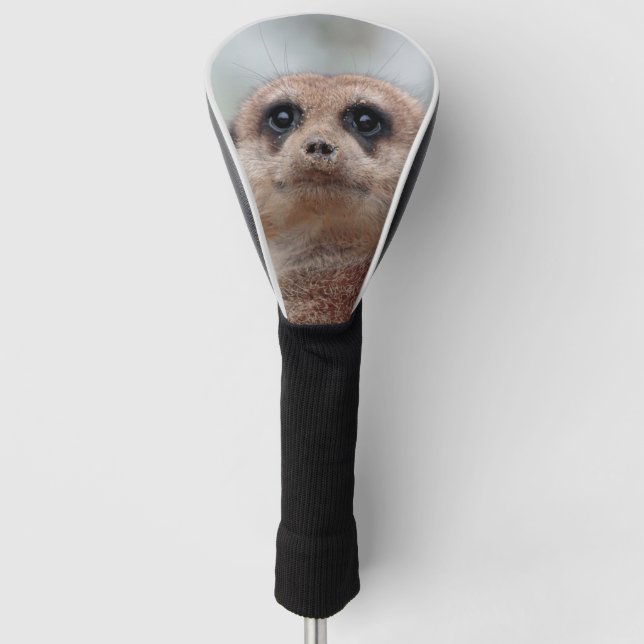 Couvre-club De Golf Meerkat 020 (Devant)