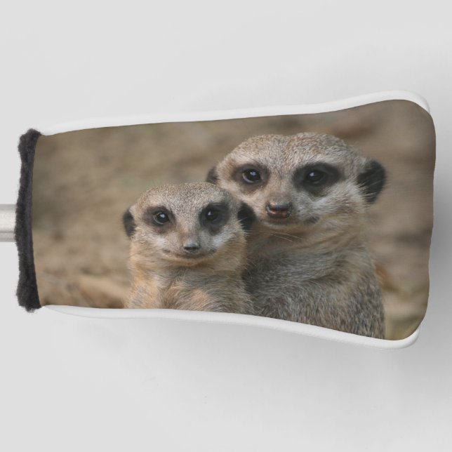 Couvre-club De Golf Meerkat 067 (Devant)