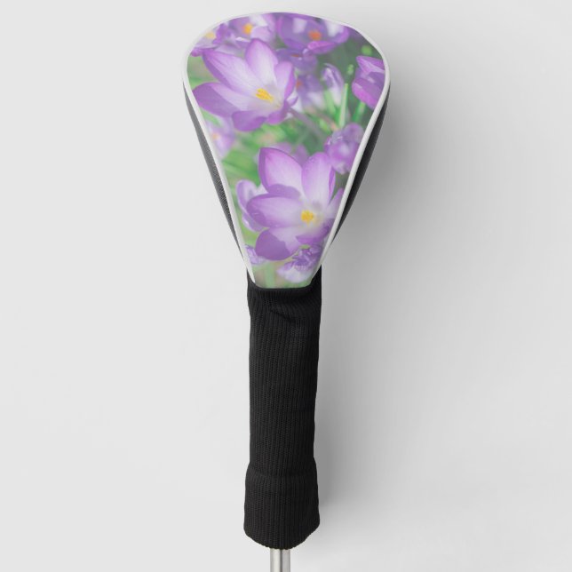 Couvre-club De Golf Nature Pale Purple Pastel Crocus Fleurs Florales (Devant)