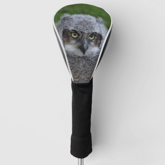 Couvre-club De Golf Owl_2019001 (Devant)