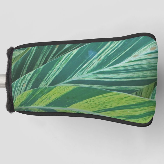 Couvre-club De Golf Palm Tropical Feuille Motif Summer Beach Nature (Devant)