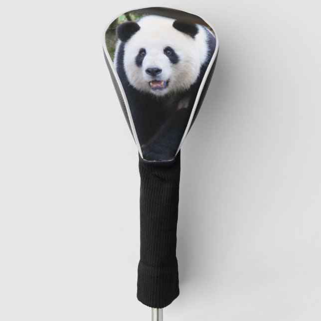 Couvre-club De Golf Panda_20190301_by_JAMFoto (Devant)