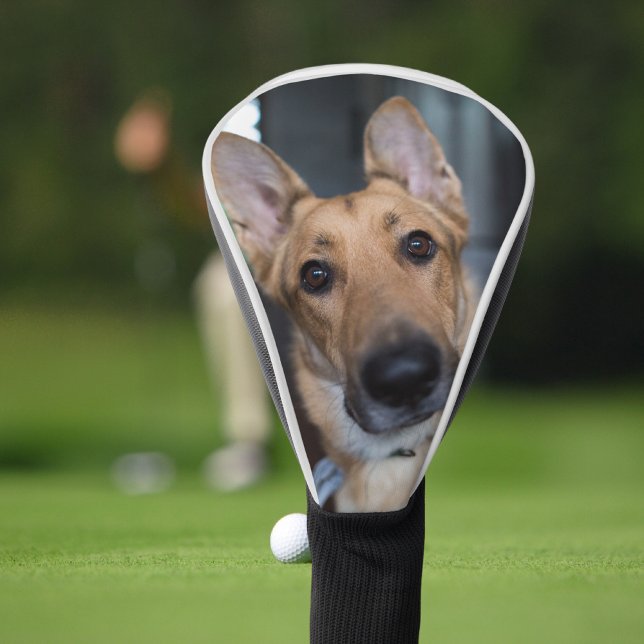 Couvre-club De Golf Personalized Dog Photo (Créateur téléchargé)