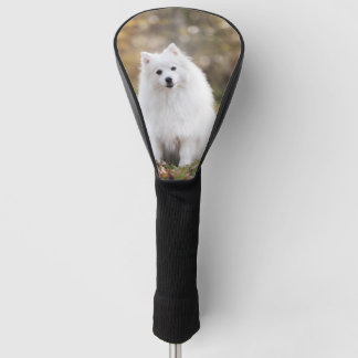 Couvre-club De Golf Photo de chien personnalisée