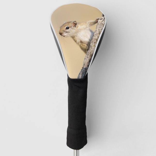 Couvre-club De Golf Photo de l'écureuil sauvage de Cute Tree (Devant)