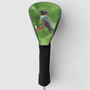 Couvre-club De Golf Photographie d'oiseau Colibri à gorge rubis