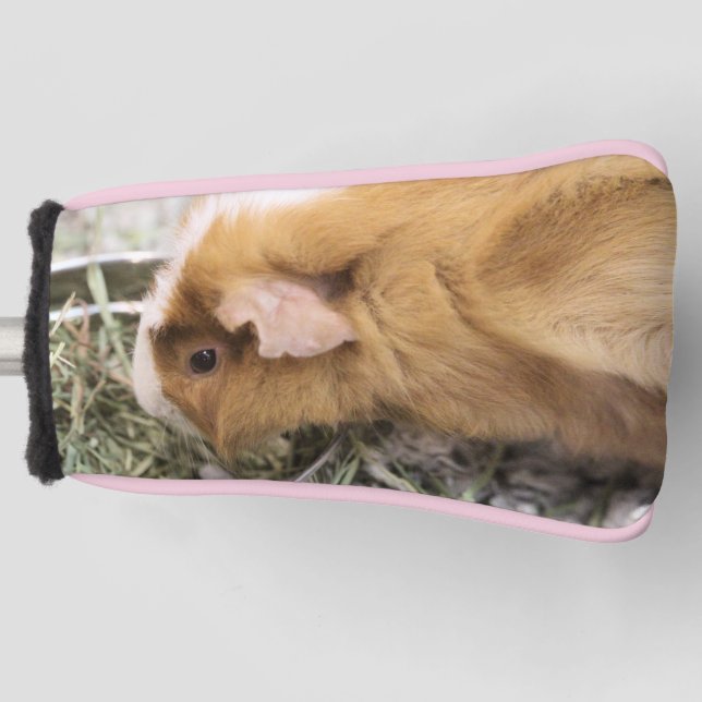 Couvre-club De Golf Piggy Golf Head Couverture (Devant)