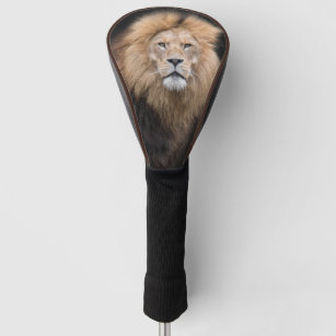 Couvre-club De Golf Portrait de plan rapproché d'un lion masculin