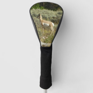 Couvre-club De Golf Pronghorn au Parc national de Grand Teton