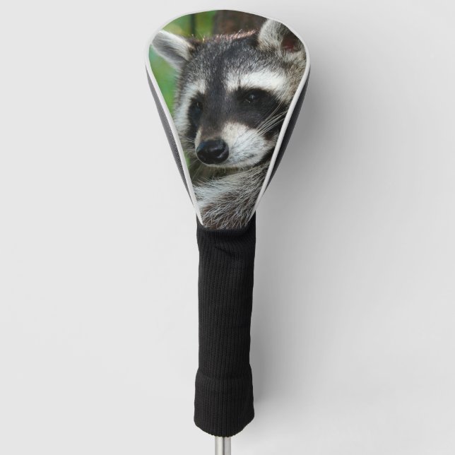 Couvre-club De Golf Raccoon 001 (Devant)