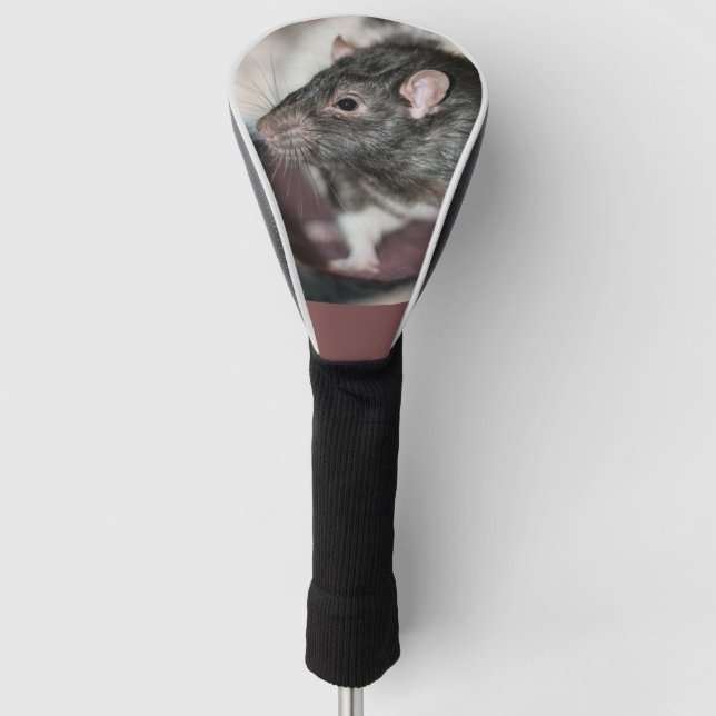 Couvre-club De Golf Rat (Devant)