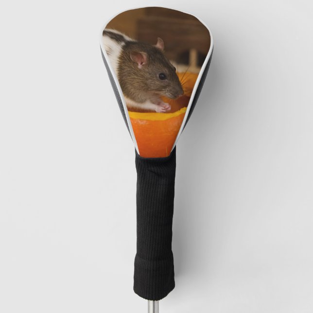 Couvre-club De Golf rat à capuchon noir effrayant mangeant des graines (Devant)