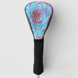 Couvre-club De Golf Rosette de Sedum Succulent Rose Chaud et Bleu