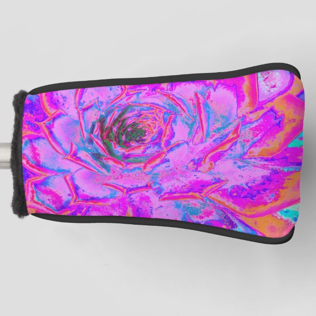 Couvre-club De Golf Rosette Succulente pourpre et magenta (Devant)