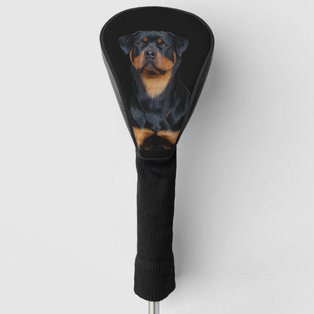 Couvre-club De Golf Rottweiler   (Devant)