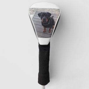 Couvre-club De Golf rottweiler à la plage