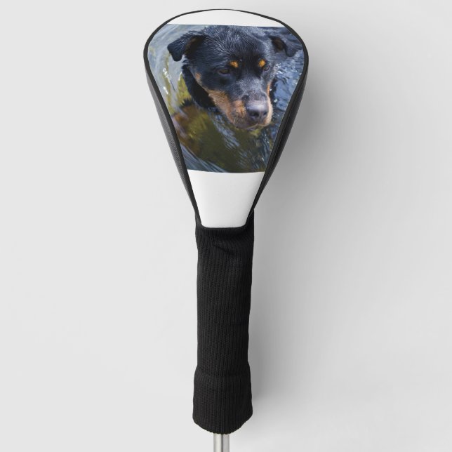 Couvre-club De Golf rottweiler dans l'eau (Devant)