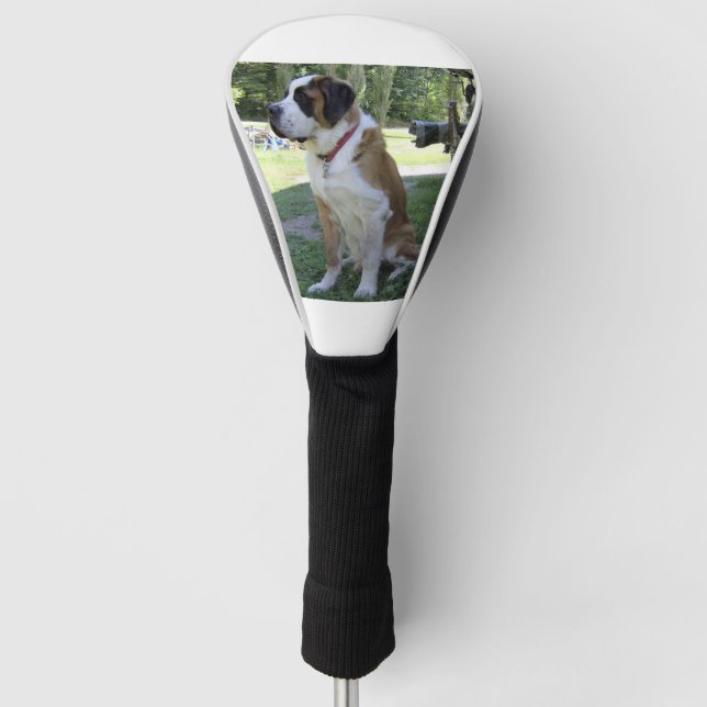Couvre-club De Golf séance st bernard 2 (Devant)