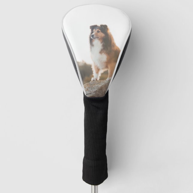 Couvre-club De Golf Sheltie sur la protection de falaise entendue (Devant)