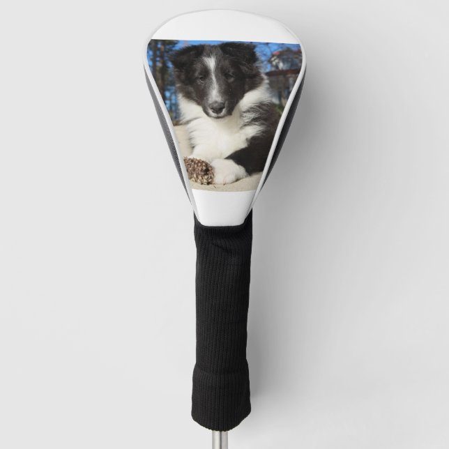 Couvre-club De Golf shet shp chiot noir et blanc (Devant)