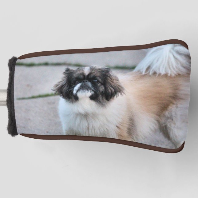 Couvre-club De Golf Shih Tzu (Devant)