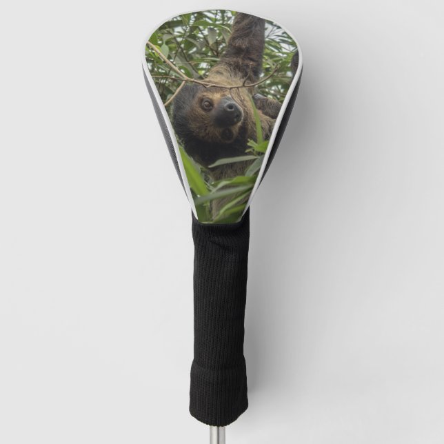 Couvre-club De Golf Sloth_2019001 (Devant)