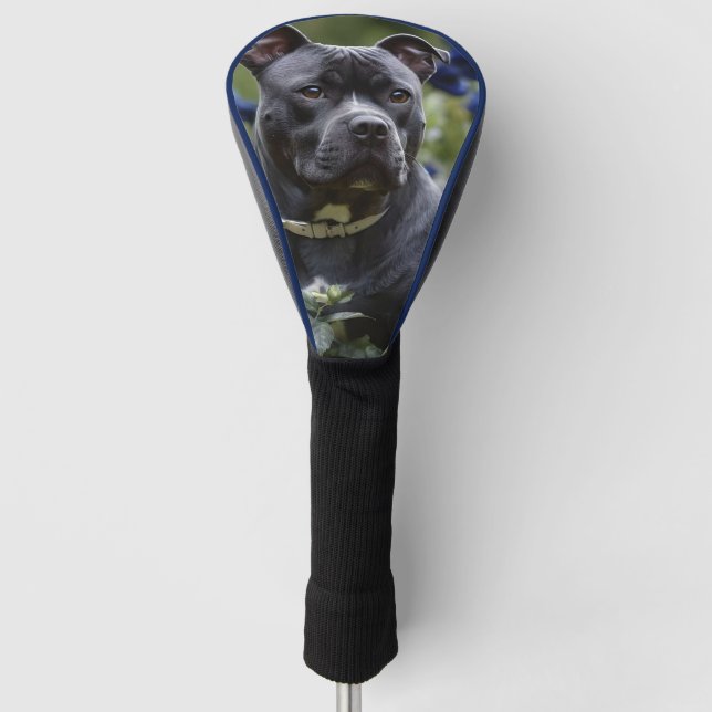 Couvre-club De Golf Staffordshire Bull Terrier Dans Blue Rose Garden, (Devant)