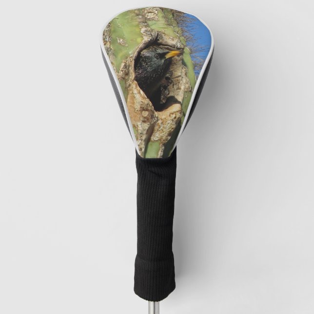 Couvre-club De Golf Starling dans Saguaro Cactus Photo Southwest Bird (Devant)