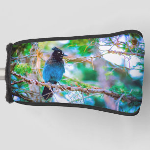 Couvre-club De Golf Steller's Jay - Photographie originale