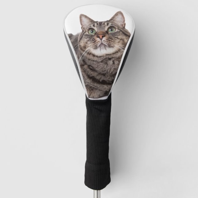 Couvre-club De Golf Tabby Gris (Devant)