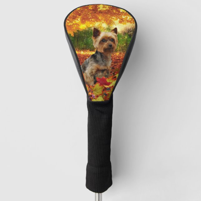 Couvre-club De Golf Thanksgiving de chute - Tucker - Yorkie (Devant)