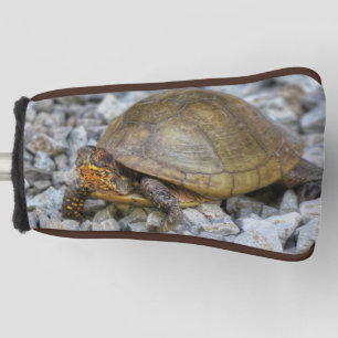 Couvre-club De Golf Tortue